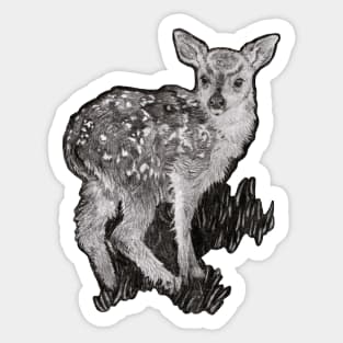 Deer Drawing Sticker